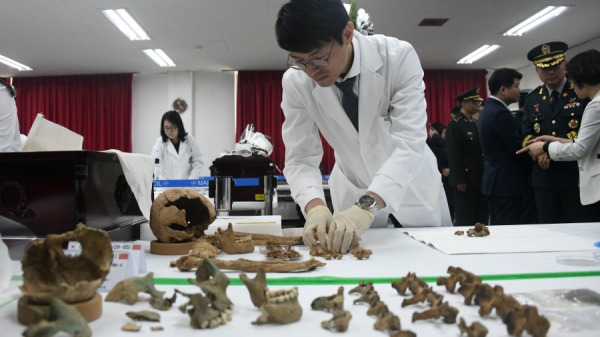 一名韓國KIA恢復與鑑定機構成員，準備將在朝鮮戰爭期間戰鬥的中國士兵遺體放置在首爾以西的仁川臨時軍事骨庫中。