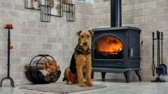 狄德羅的睡袍(圖)