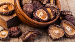 中国菇台湾菇怎么分辨注意3点不怕买错(组图)