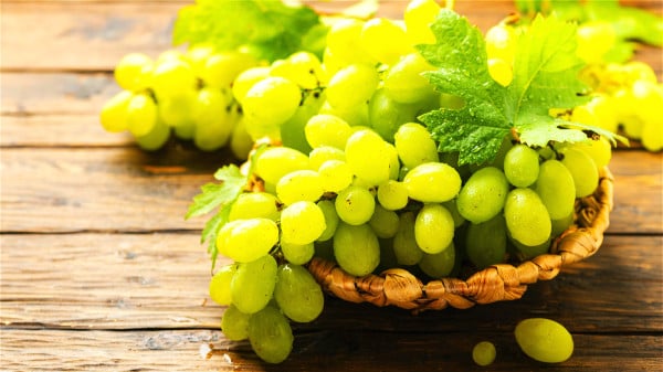葡萄中有多種胺基酸，能將肺部的垃圾清理出去。