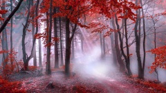 雕匠林中遇女魂善心助他逃死劫(图)