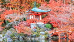 神奇消失的竹林寺原來在另外空間(圖)