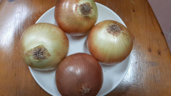 食物發芽了能不能吃呢專家說明白(組圖)