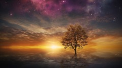 中国古代方术发达：刻虎成真虎阴阳可相通(图)