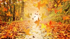 盲眼孤儿小乞丐一世罪业三世还(图)