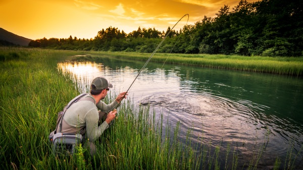 钓鱼是许多人喜爱的休闲娱乐之一，钓鱼等到鱼儿上钩后真是一种让人惊喜的感觉。