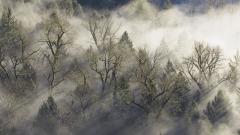 荒野之外遇见的离奇事件(图)