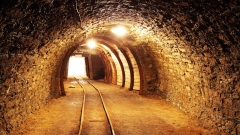 救了受困礦工的小老鼠(圖)