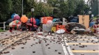 渲染“香港陆生大逃亡”《环球时报》被指报道失实(图)