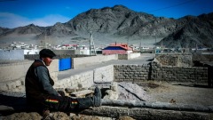 豬瘟未平鼠疫又來人們擔心北京當局會掩蓋實情(圖)