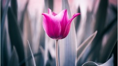 發人省思的生活小哲學(圖)