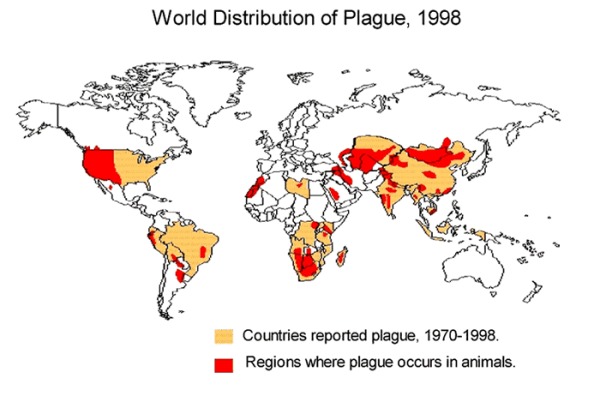 1998年的世界鼠疫分布圖。