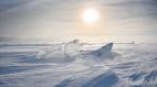 南极传说：神秘的海中巨兽(视频)