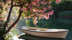 心淨一切皆靜(圖)