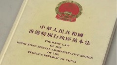 尷尬中國人大常委會不識香港基本法(圖)