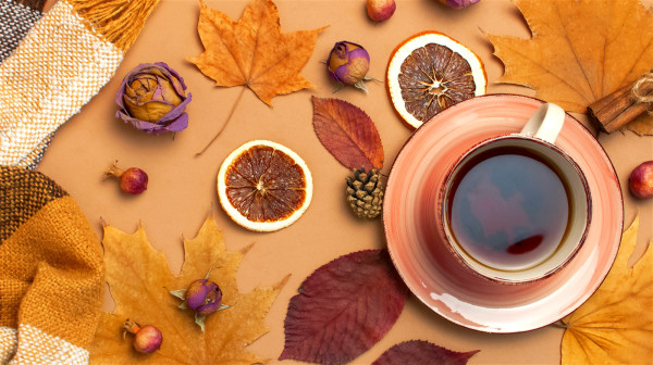 喝茶有益心血管健康，還能預防癌症，延緩衰老。