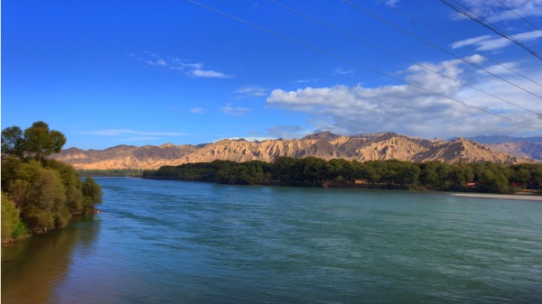 2020年5月中旬，1200多公里的黄河中游，多处出现“一河清水向东流”的景象。