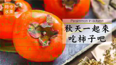 “男怕柿子女怕梨母猪最怕西瓜皮”是啥意思(组图)