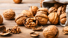 谁偷了英国女王的坚果(组图)