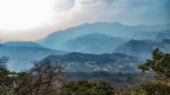 採藥民神奇無比的經歷掉進地坑入仙境(圖)