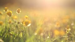 灵魂重现人世的奇异现象(图)