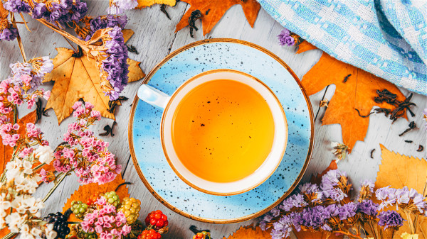 饮用冷茶可能损伤脾胃，饮茶最好还是要喝热的为宜。