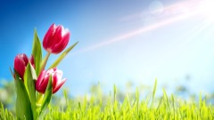 人贵三德：沉得住气弯得下腰抬得起头(图)