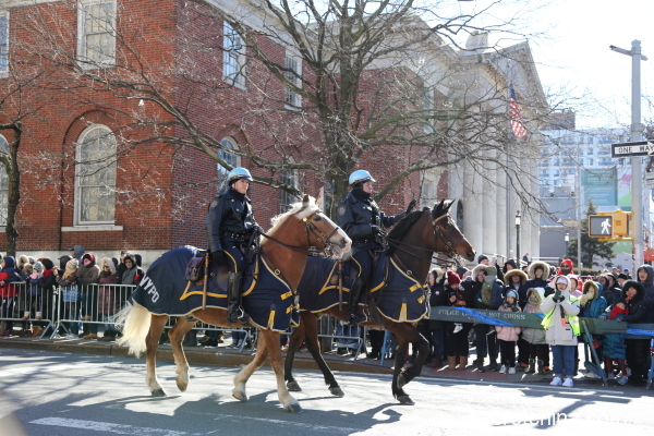纽约市警察局两名警察骑着高头大马当先开路