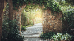 美科学家发现的重大秘密因果报应存在(图)