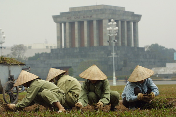 2001年2月19日，越南河內胡志明紀念館前的廣場上，女工在種植鮮草。