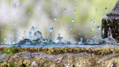 雨天出行古人是如何避雨的呢(圖)