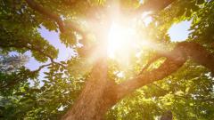 四位因为梦而成功的科学家(图)