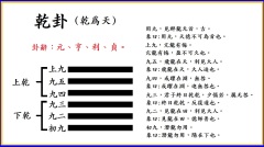 群龍無首是貶義詞為何易經說是「吉」(圖)