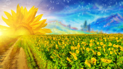 亡儿讬梦给母亲请父亲帮忙找工作(图)