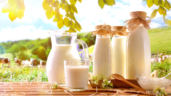 牛奶是钙的好来源，且饮用方便、吸收好。