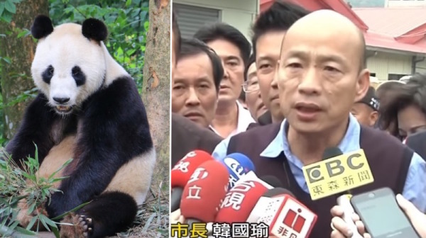 人大代表建议送高雄熊猫