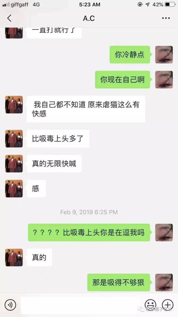 中国留学生情侣嗑药虐猫男主逃回中国“我安全了”