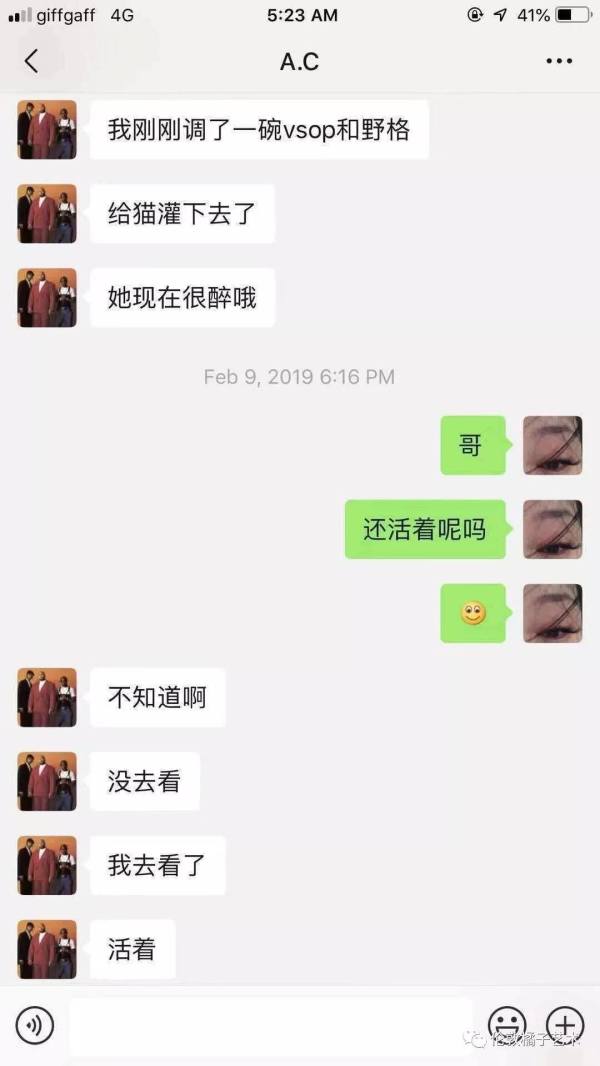 中国留学生情侣嗑药虐猫男主逃回中国“我安全了”
