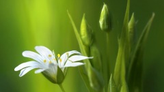 不要让心情生病(组图)