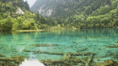 天干地燥土地龟裂高僧二徒青龙布雨(图)