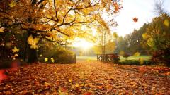 宇宙绝非偶然形成(1)天地万物规律存在(图)