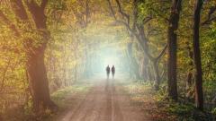 宇宙绝非偶然形成(3)人来世上有何目的