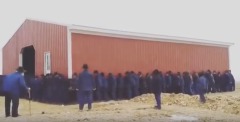 罕見：230名男子合力搬運一個巨大的建築物(圖視頻)