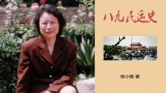 學者陳小雅遭禁出境北京國保：今年不可能平反六四(圖)