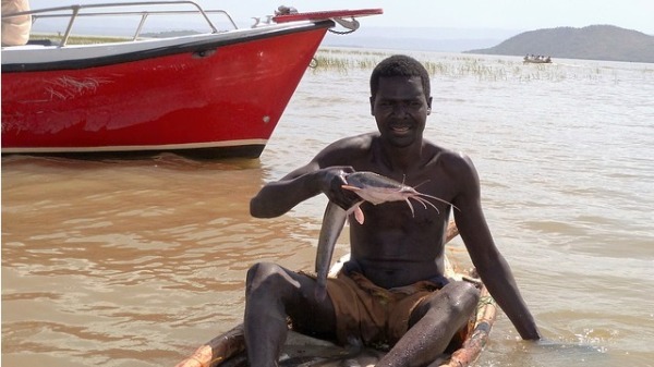 非洲的最大湖泊「維多利亞湖」魚類資源枯竭，缺口卻由中國進口的養殖魚來填補。但是肯亞消費者對於中國魚的品質有所疑慮。圖為肯亞民眾捕魚。