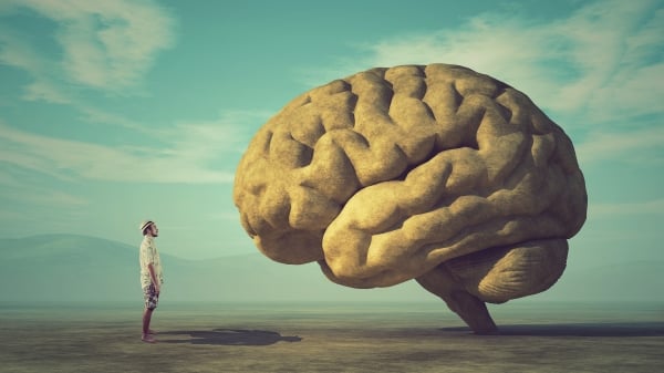 人类大脑只能开发10%？