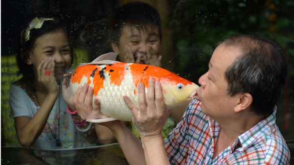花千萬買條魚 廉價的中國富豪正成為世界笑話