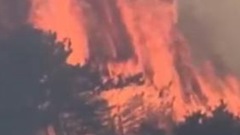 北京東北部發生森林大火(圖)