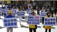 中國企業家揭曾遭死人床高壓電擊牙籤刺指迫害(圖)