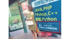 中国招募20岁以下工程师却要求30年经验(图)